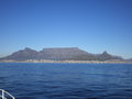 South Africa VI - Familie zu Besuch! 24486537