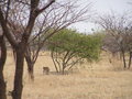 letzte Reise - Namibia 29052560