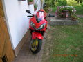 Honda CBR 600 F Sport 24157301