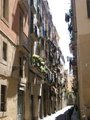 Barcelona 2007 20710076