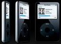 ipod 20088521