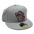 %new era% 20090206