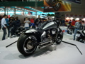 Die Bike 2008 33328621