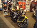 Die Bike 2008 33329629