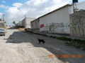 Mexiko (geile Zeit) 37951122