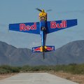 Red Bull 21260342