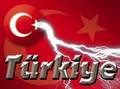 ~~~En BüYüK TÜRKIYE~~~ 9106570