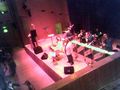 WRG Ball Stadthalle 48655432