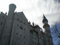 Schloss Neuschwanstein + Hohenschwangau 38024971