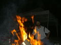 Grillen an der Steyr 2008 42513800