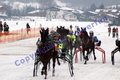 Renntag in Kitzbühel 2007 17800906