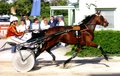 Eigene Renn- und Trainingsfotos 17818957