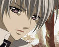 VamPiRe KniGhT 61172370