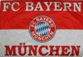 Fc BaYeRn........ DeS GeiLsTe 31378786