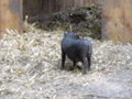 Tierpark  60148236