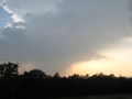 Meine 1 Wallcloud 63704299