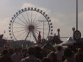 Oktoberfest München 11350848