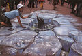 Julian Beever 36341318