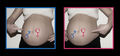 BABYBAUCH mal drei 37430051