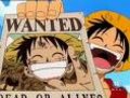 One Piece 19981691