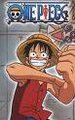 One Piece 19981696