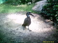 Münchner Zoo 42716094