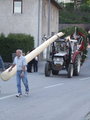 Maibaum 2007 19172529