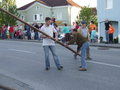 Maibaum 2007 19173776