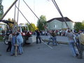 Maibaum 2007 19175081