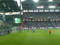 Rapid - Schalke 04 63048115