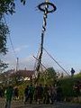 Maibaum 07 28488883