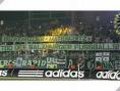 ULTRAS RAPID usw. 18772298