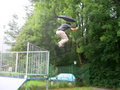 A SECOND DAY ON ISCHL's SKATE PARK 23347384