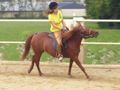 reiten 46994800