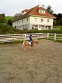 reiten 65957637