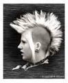 punk 32606826