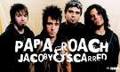 papa roach 32641032