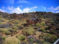 Tenerife 2004 5518515