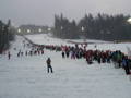 Nachtslalom in Schladming 2008 33421723