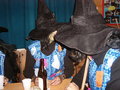 Fasching 2007 18525788