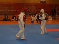 Taekwondo 19878722