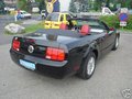 Mein Traum (Ford Mustang) 15077511