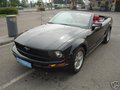 Mein Traum (Ford Mustang) 15077513