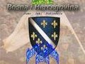 bosna 23392642