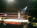 Wrestling in Linz 36830896