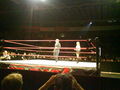 Wrestling in Linz 36830900