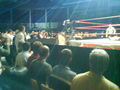 Wrestling in Linz 36830917