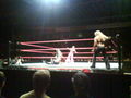 Wrestling in Linz 36830929