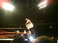 Wrestling in Linz 36830938