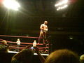 Wrestling in Linz 36830941